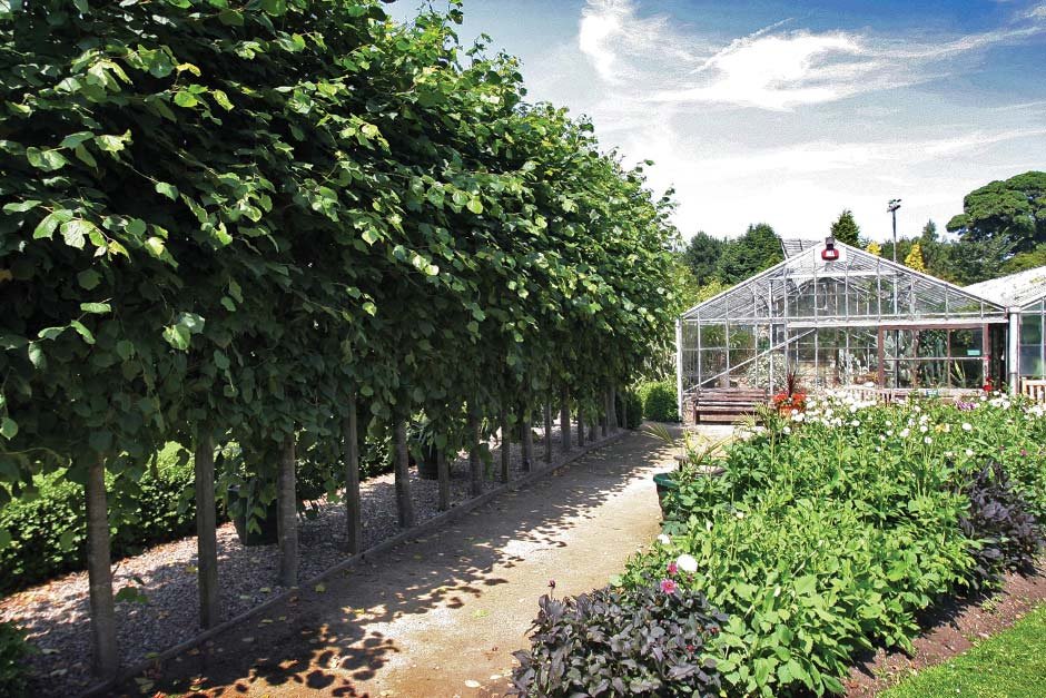 🌿 더럼 대학교 식물원 (더럼 유니버시티 보타닉 가든)